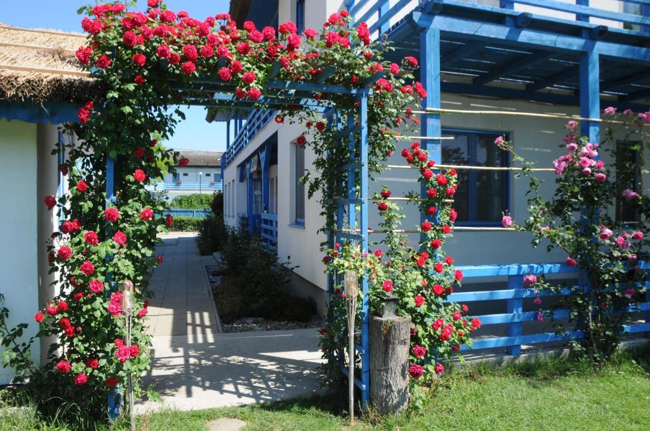 Pension Sharaiman Dunavăţu de Jos Exterior foto